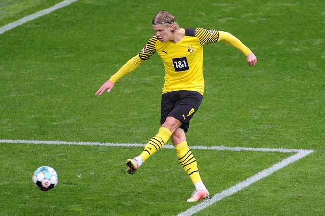 市民和游客 市民和游客